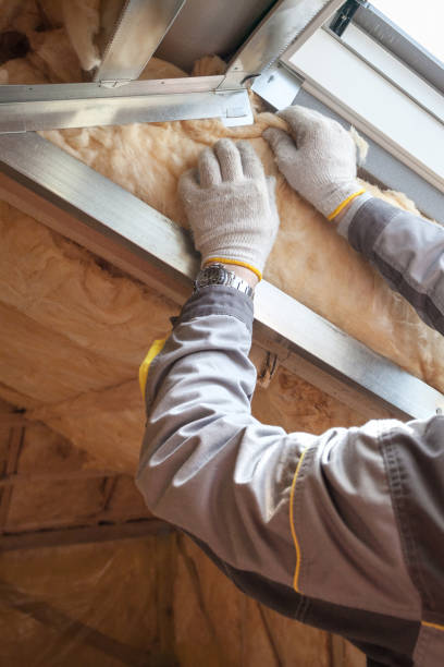 Best Eco-Friendly Insulation in Stockdale, TX